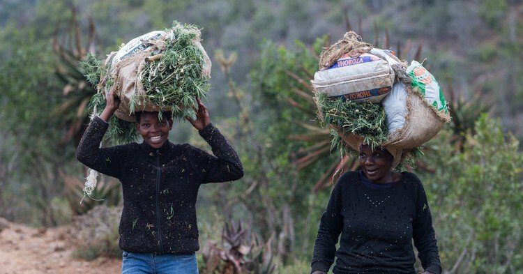 Women are locked out of the climate adaptation plan — we need to align culture and tradition to fix this