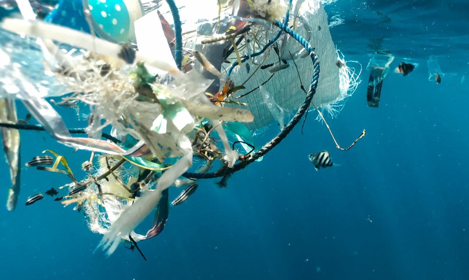 South Africa to join global effort to clean up plastic pollution