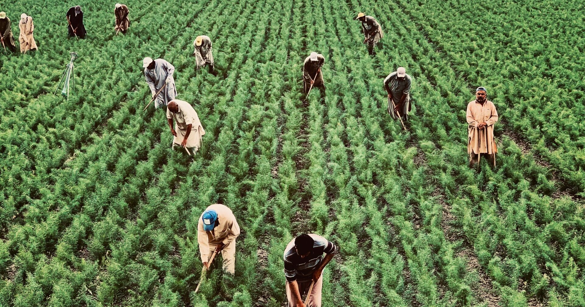 Workers’ voices must not be suppressed in climate change talks because livelihoods are on the line