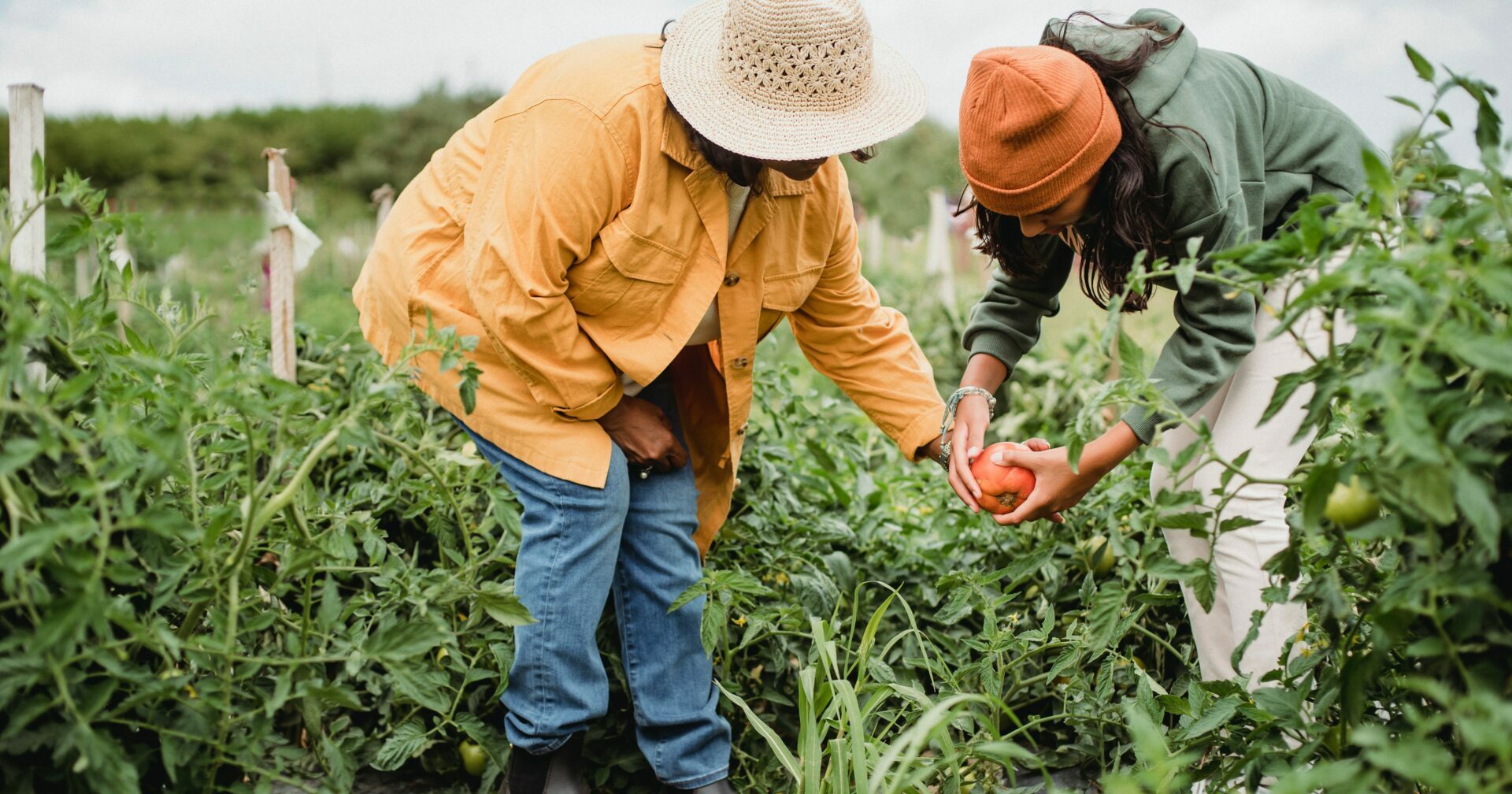How to help smallholder farmers fight climate change