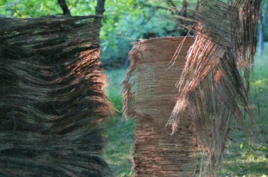 Weavings made from grasses hanging from trees
