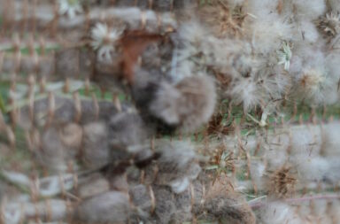 Close up of a woven textile made from grasses