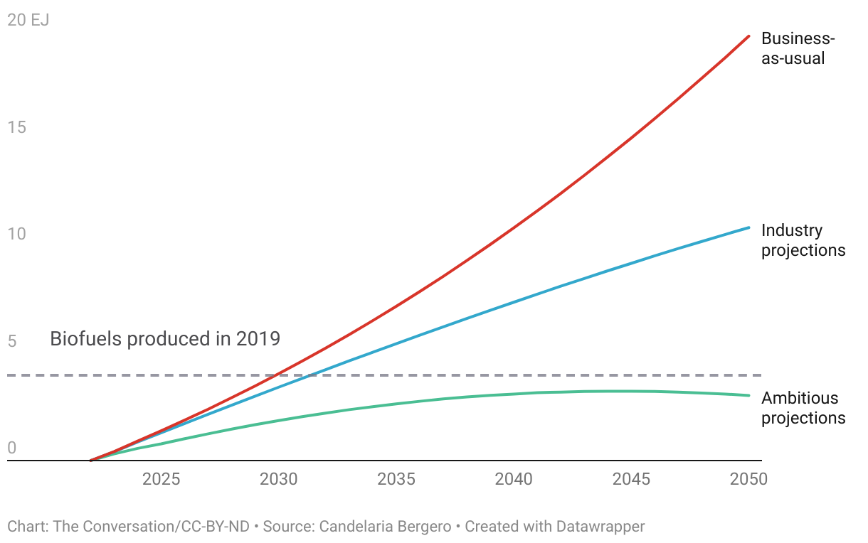 How much sustainable aviation fuel will be needed?