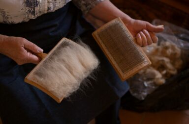 Cape Guild of Weavers - carding
