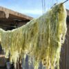 Rethread Africa turns agricultural waste into biodegradable fabric