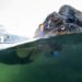 Sunscreen and what it means for you and the ocean