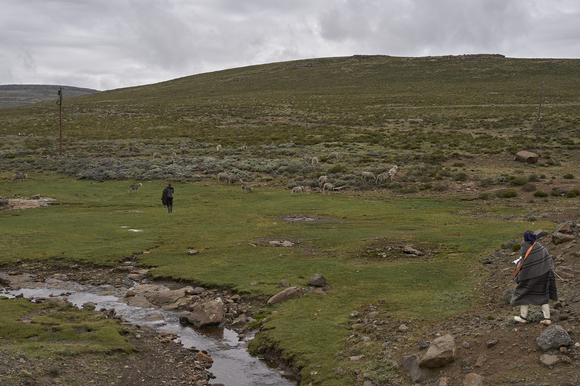 Image link