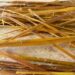 Sunflower Stem Textile Innovation Student Challenge Christine Rossouw