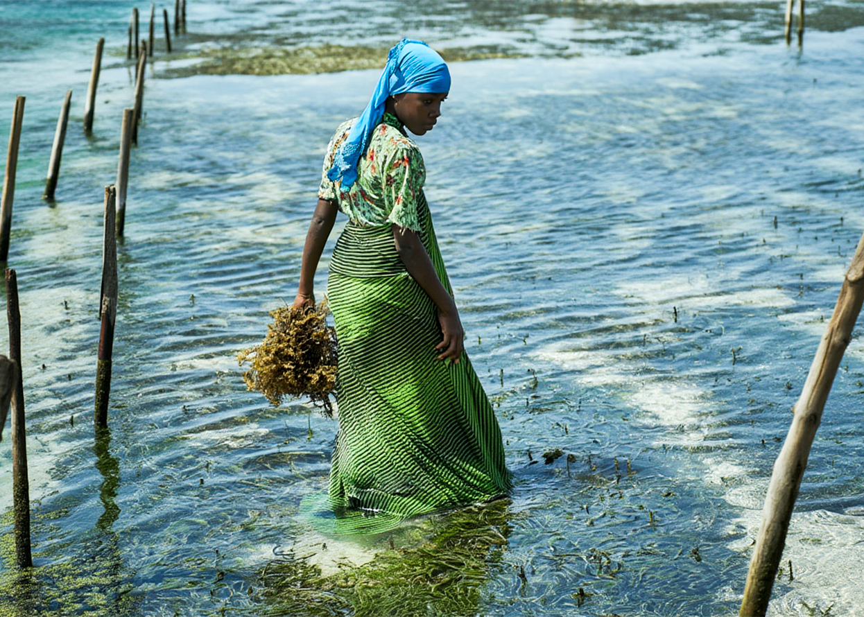 Zanzibar seaweed farmers are growing fashion's next material